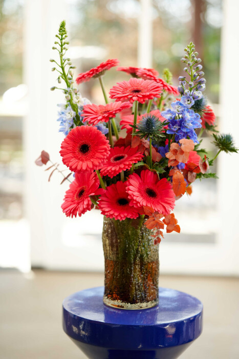 Sfeerfoto van Gerbera Standard Rossano van HilverdaFlorist. Een koraalkleurige Gerbera met een grote bloem.