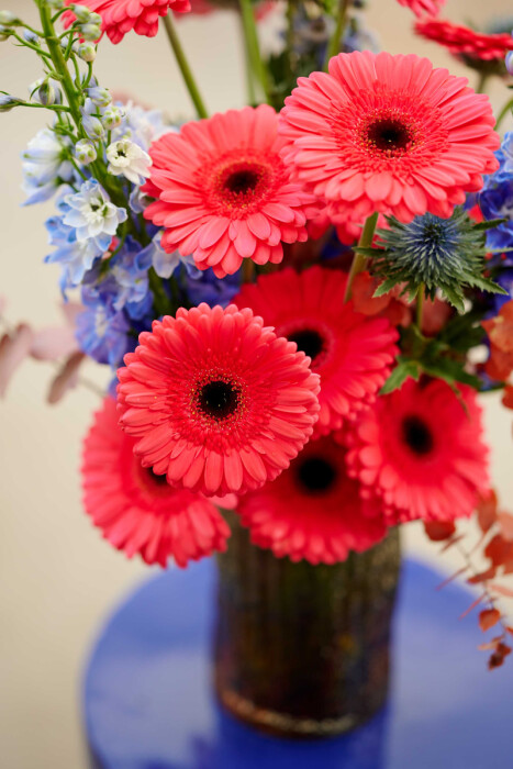 Sfeerfoto van Gerbera Standard Rossano van HilverdaFlorist. Een koraalkleurige Gerbera met een grote bloem.