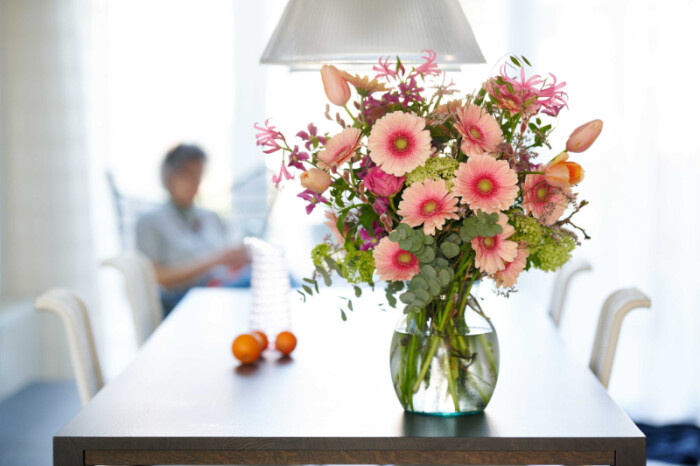 Sfeerfoto van Gerbera Sublime. Met zachtroze buitenste bloemblaadjes, een dieproze hart en een frisgroen centrum.