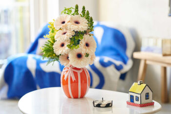 Foto de ambiente de Gerbera Standard Truffle de HilverdaFlorist. Una Gerbera de color rosa suave con un anillo rosa más intenso alrededor de su centro negro.