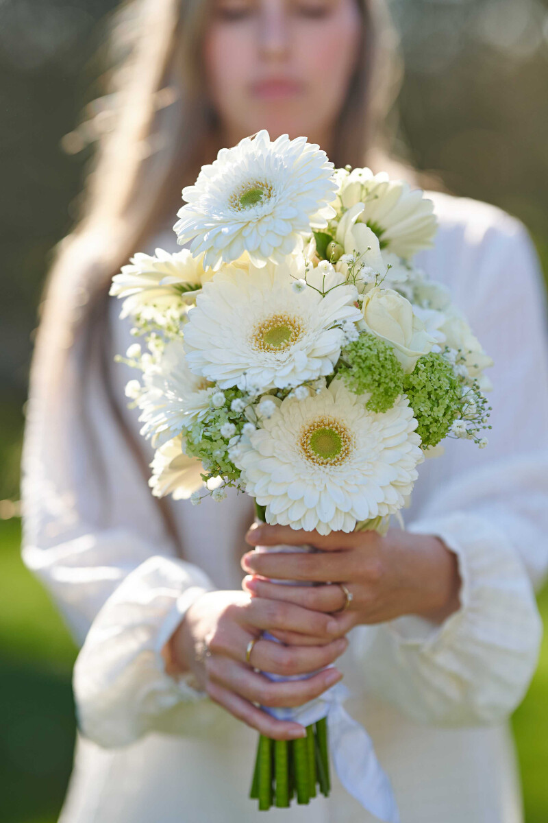 Sfeerfoto van Gerbera Standard Cologne van HilverdaFlorist. Een zuiver witte Gerbera met een frisgroen hart en rijke lagen bloemblaadjes.