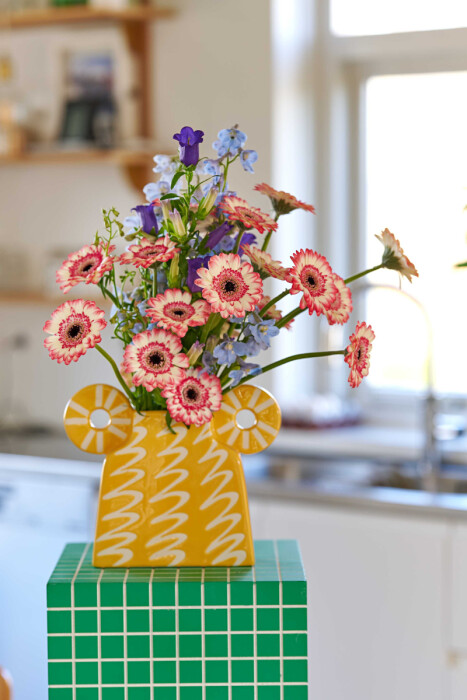 Sfeerfoto van Gerbera Mini Jagoda. Witte bloemblaadjes met scherp roze randen