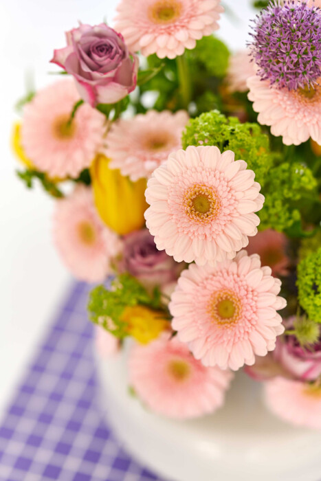 Sfeerfoto van Gerbera Mini Lola Lilly in een kleurrijk bloemarrangement