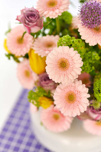 Imagen de ambiente de Gerbera Mini Lola Lilly en un colorido arreglo floral