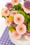 Imagen de ambiente de Gerbera Mini Lola Lilly en un colorido arreglo floral