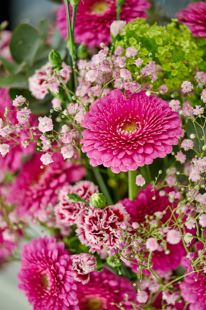 Roze Gerbera Pomponi Mini Snuffy in kleurrijk bloemarrangement