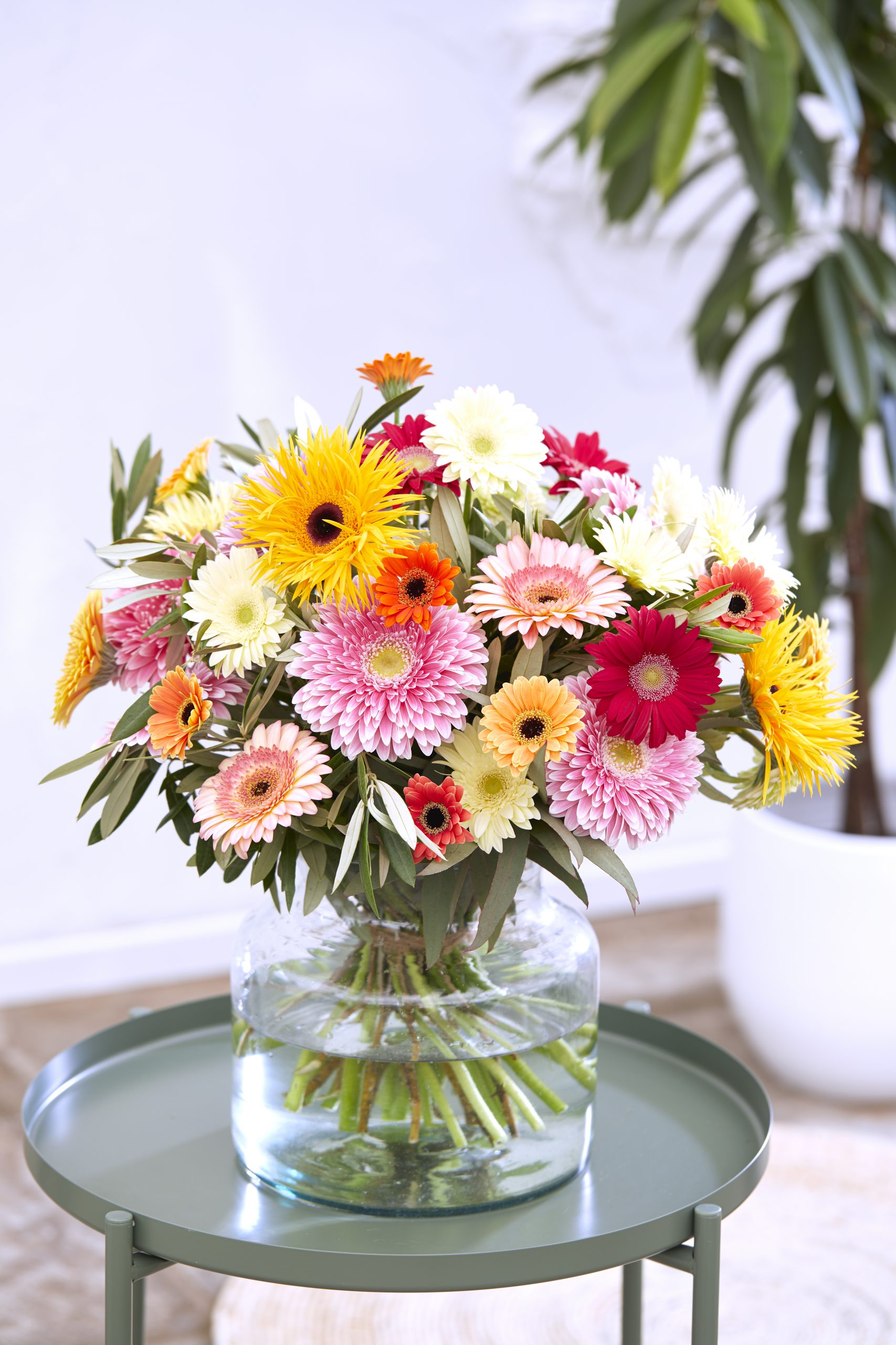 HilverdaFlorist_product_gerbera