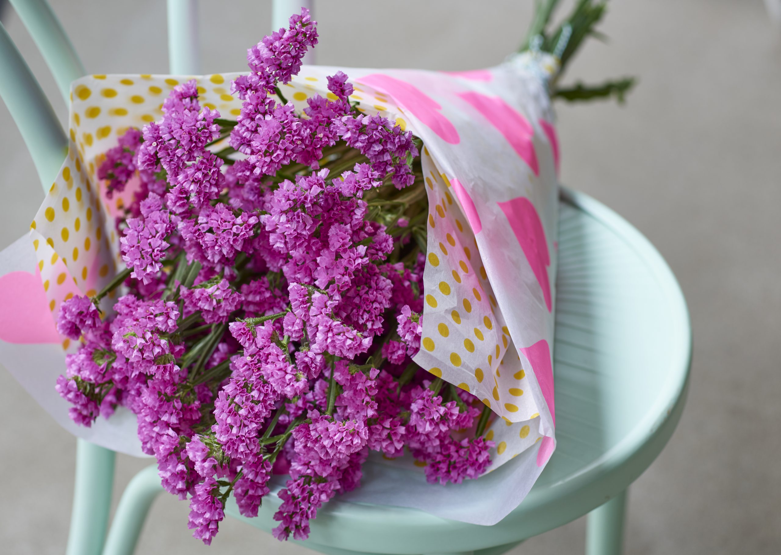 hilverdaFlorist_limonium