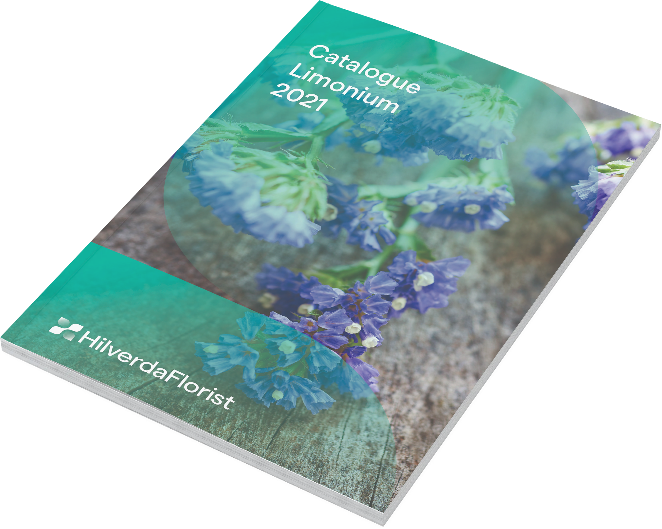 Cover_Limonium