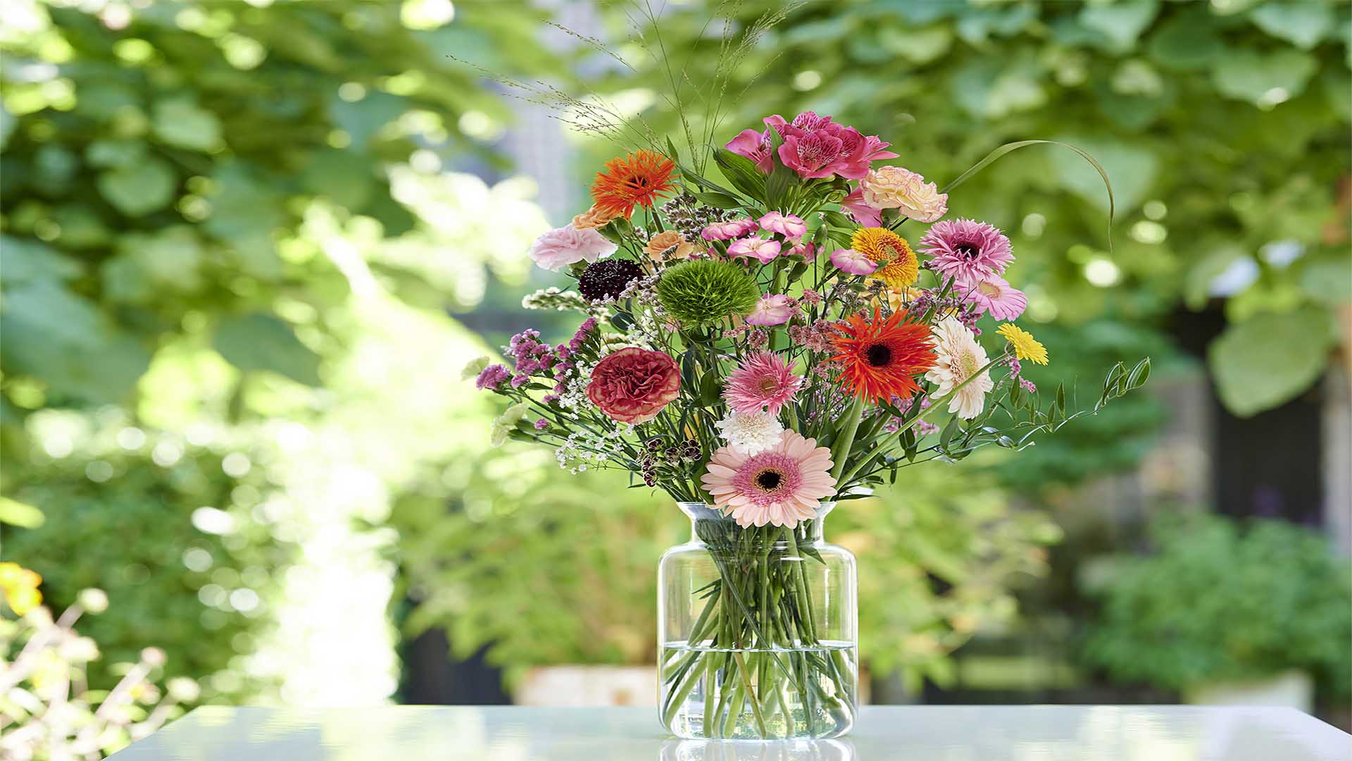 header intro cutflowers