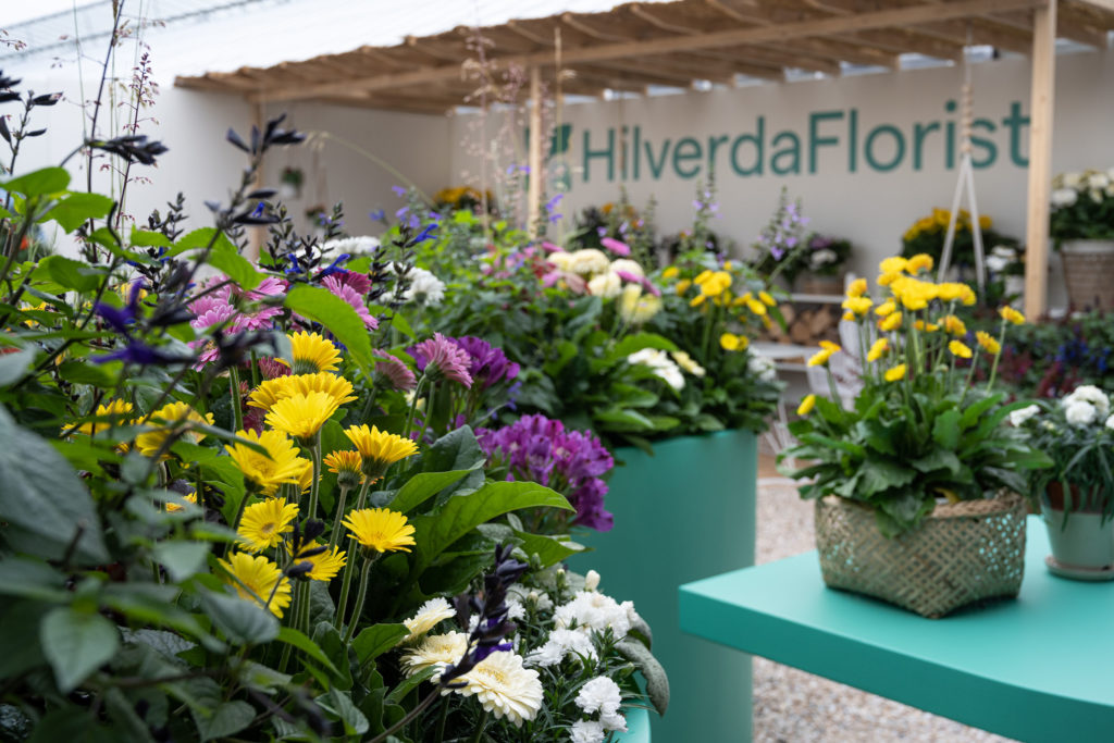 HilverdaFlorist online magazine garden plants