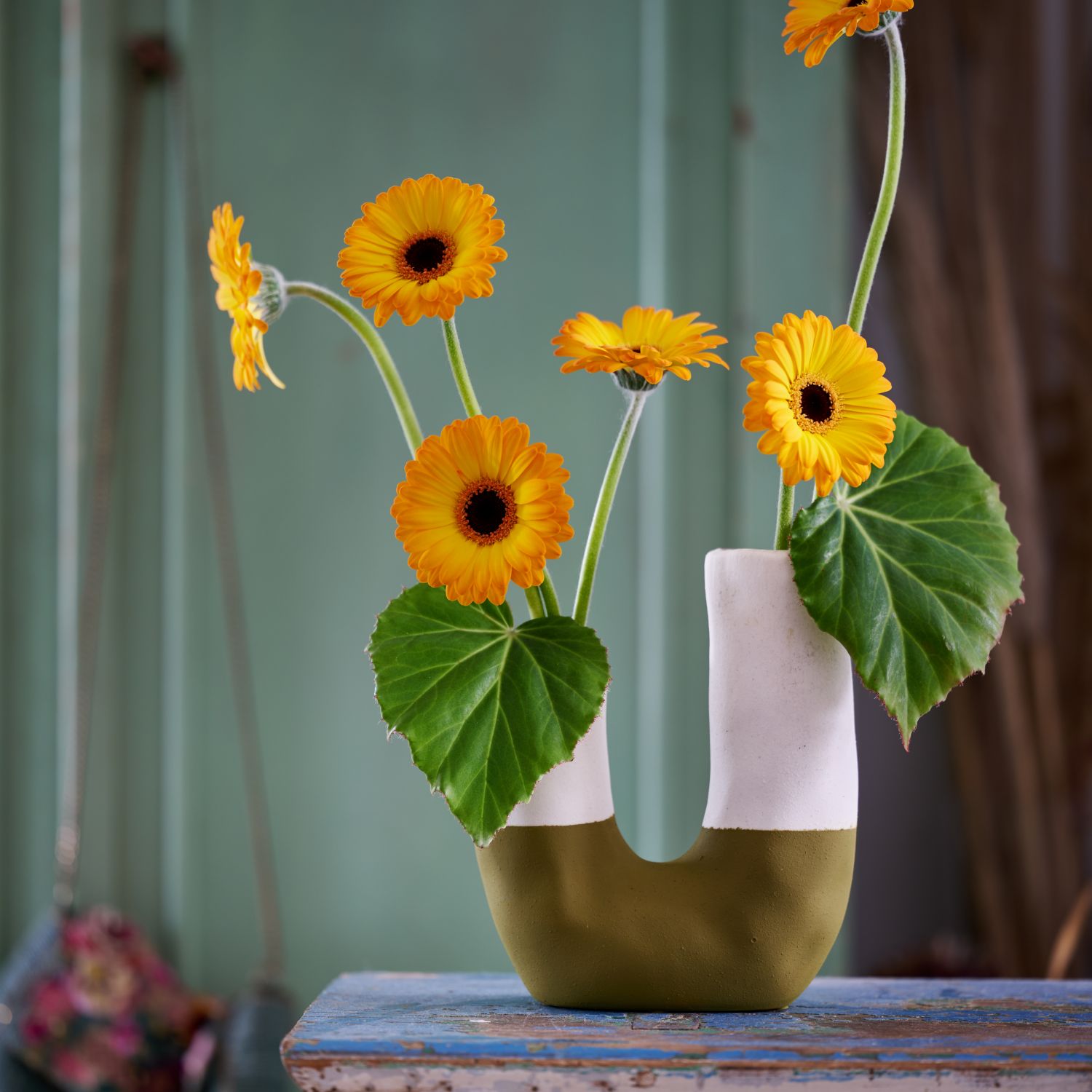 HilverdaFlorist_gerbera_sfeer_ Mini Solero