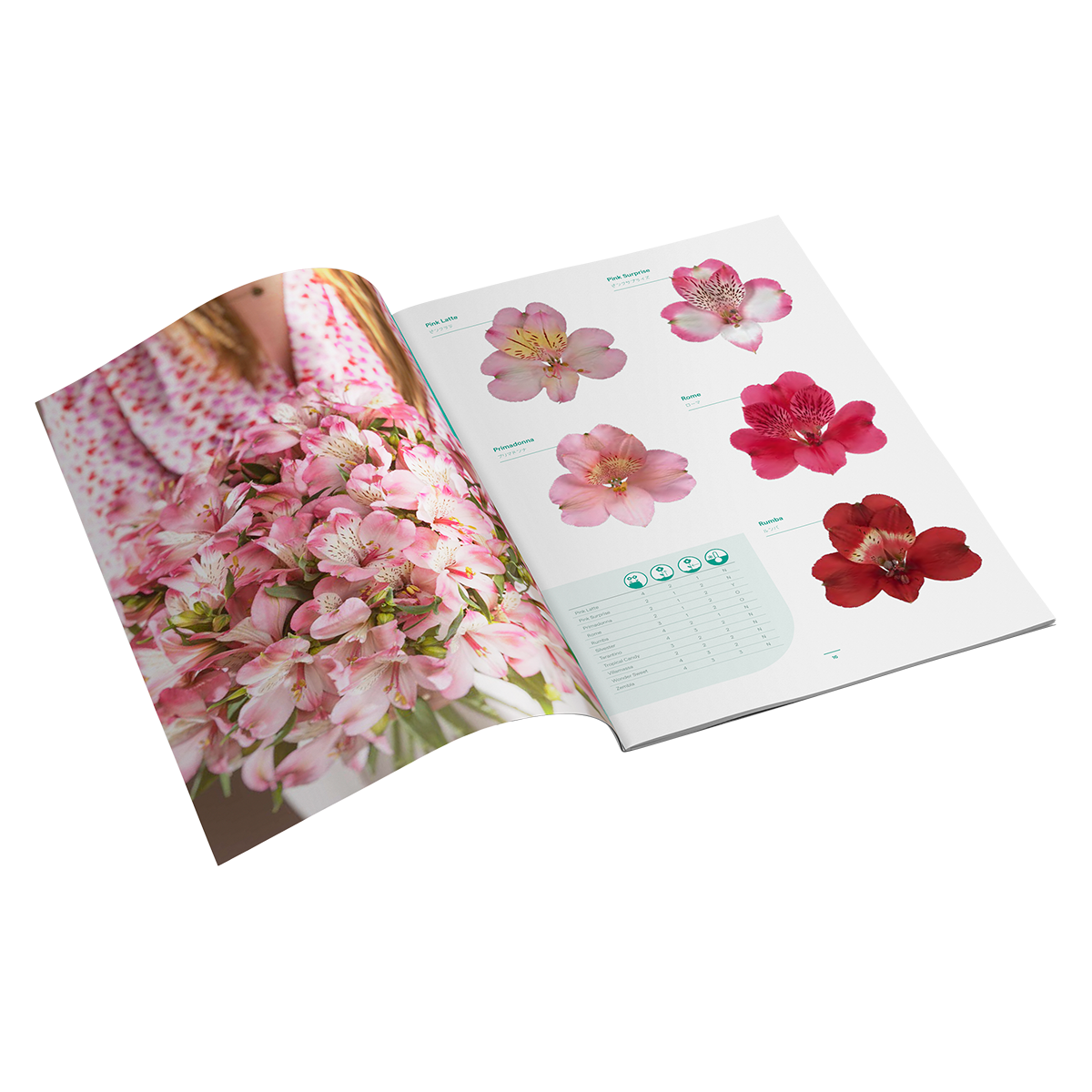 Cut Flower Catalogus