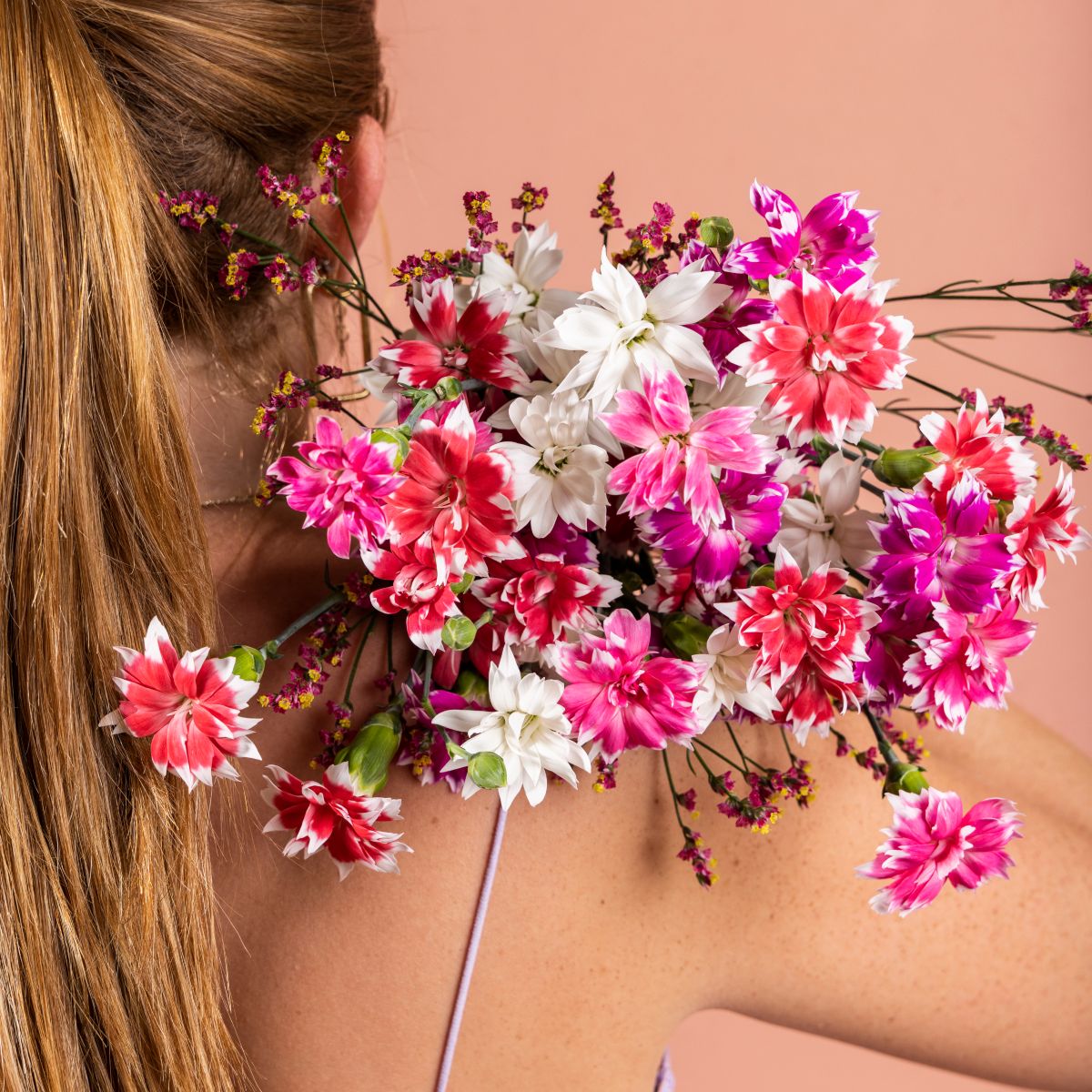 HilverdaFlorist_Lifestyle_Dianthus_Sparkz_Star_Mix