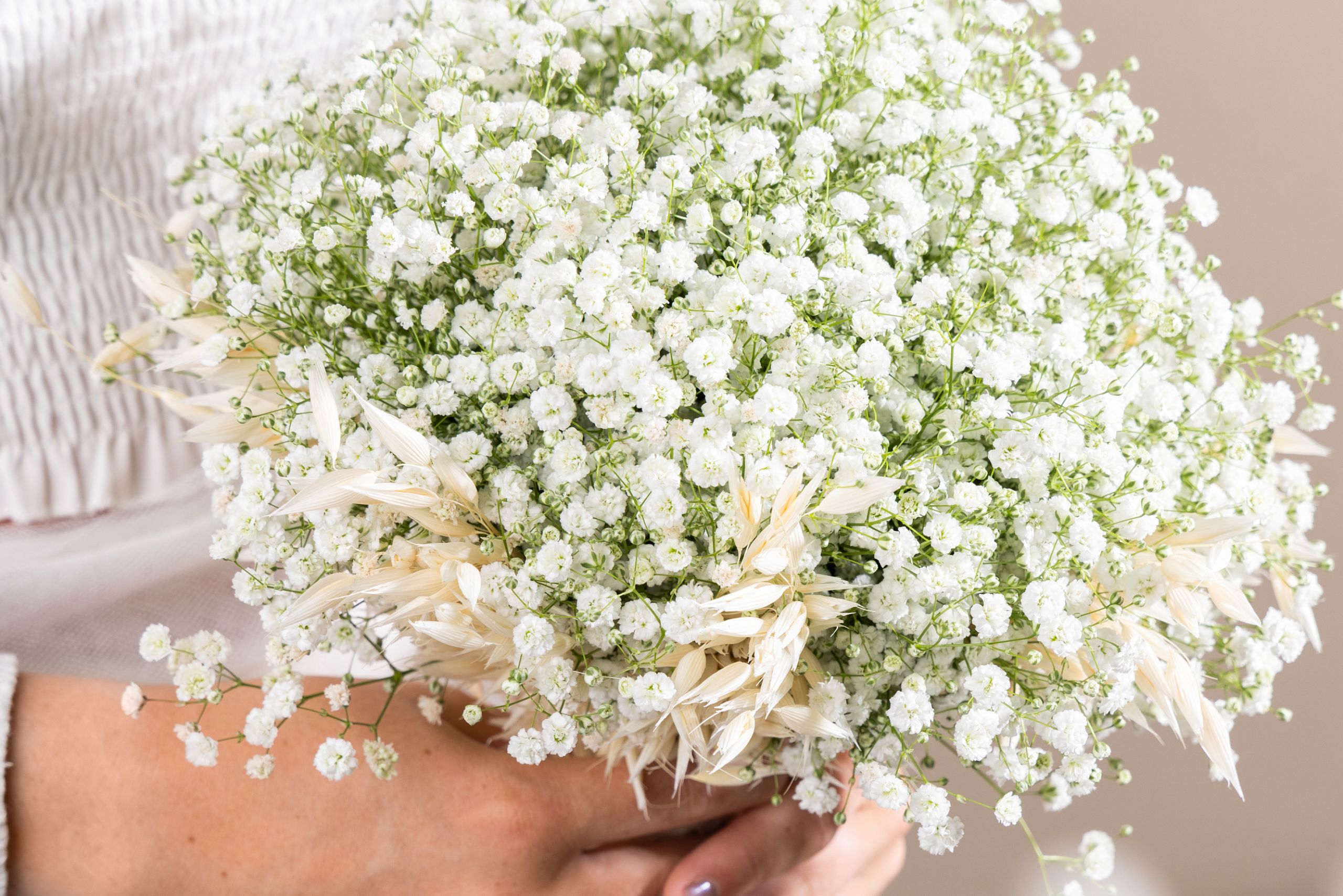 HilverdaFlorist_Lifestyle_Gypsophila_Zinzi_Titan_23 (1)