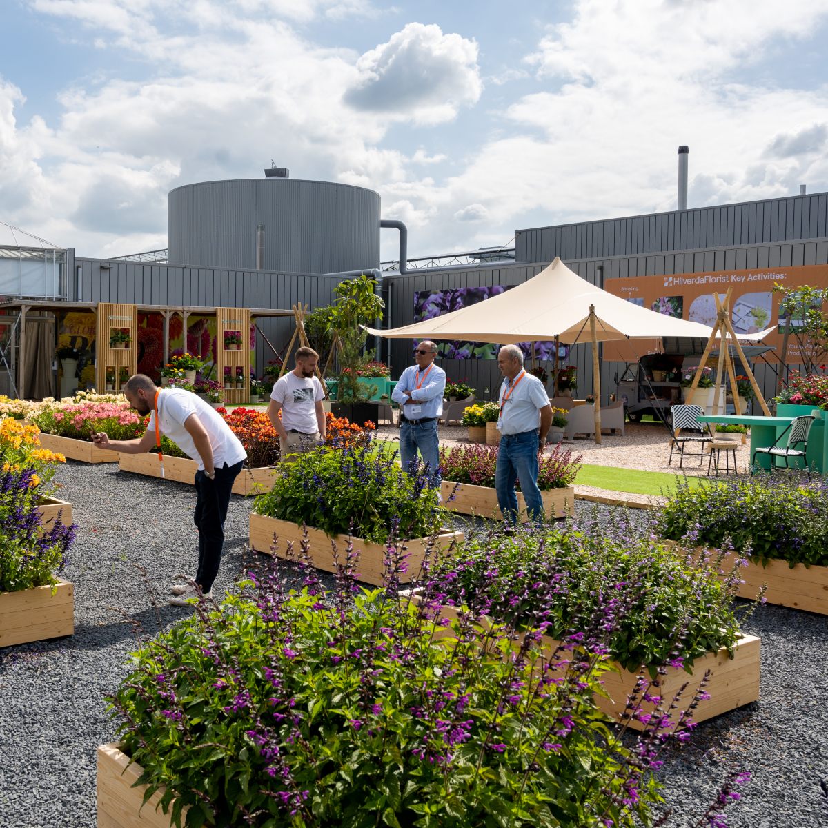 Flowertrails_Hilverdaflorist__-64