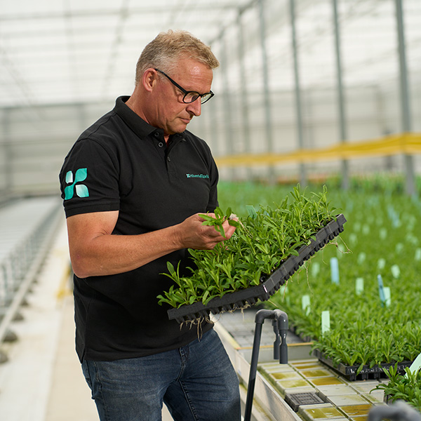 Rob van der Meer Manager Production - HilverdaFlorist