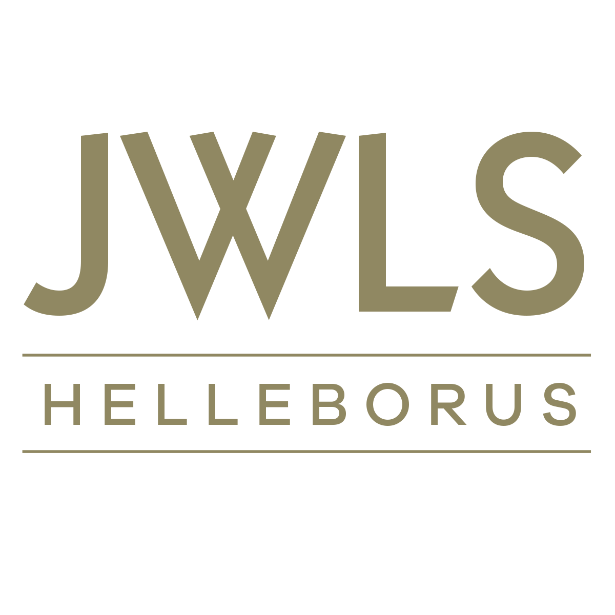 Helleborus JWLS HilverdaFlorist