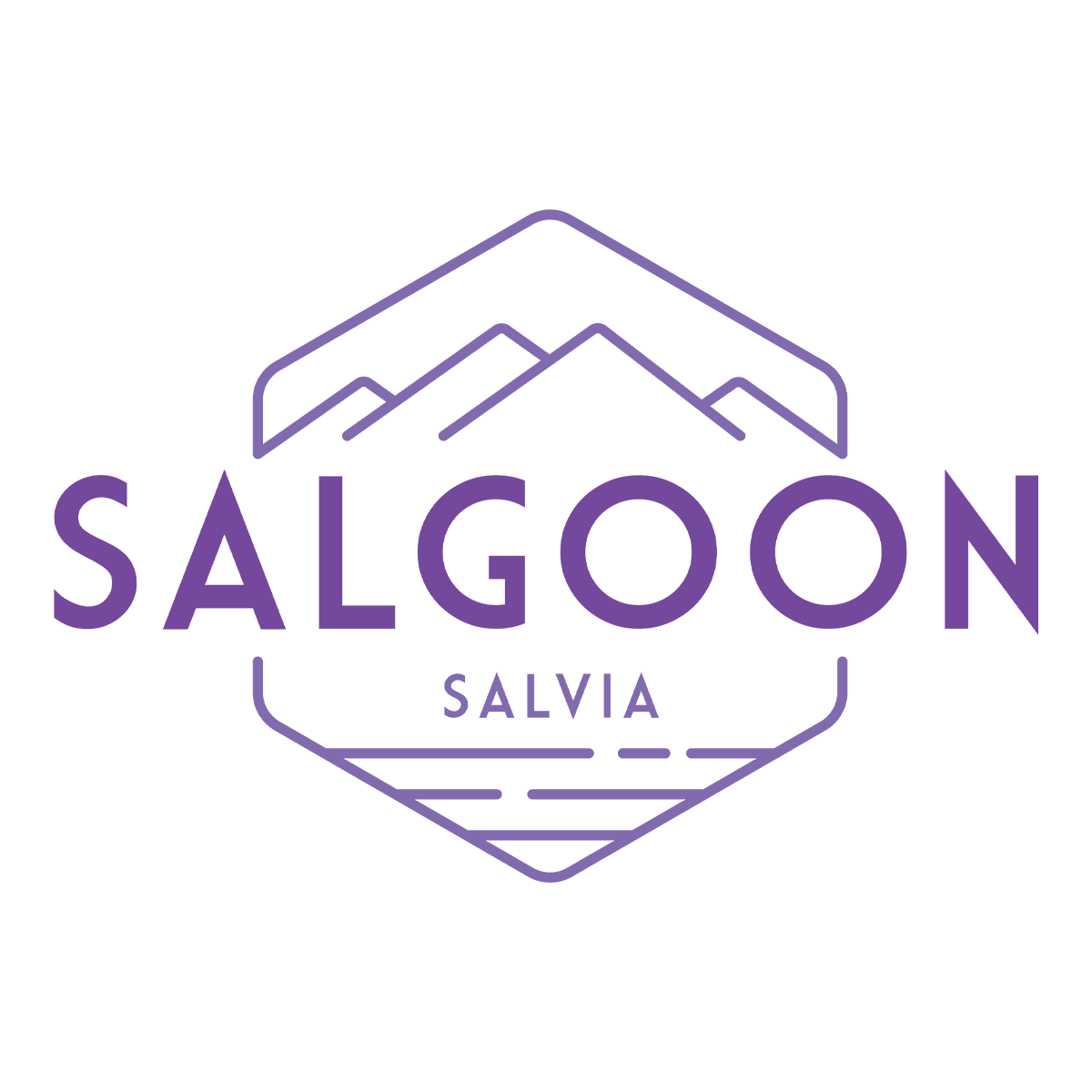 Salvia Salgoon HilverdaFlorist