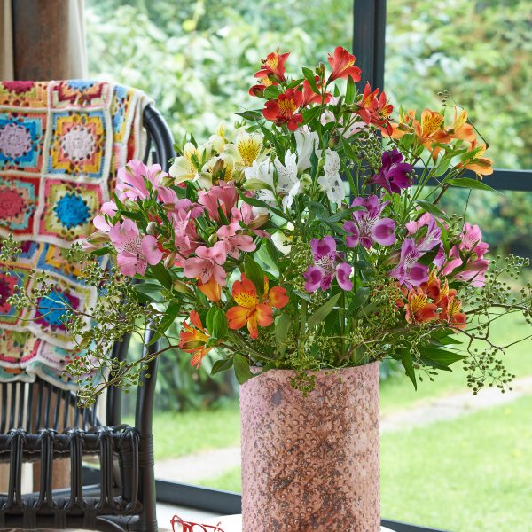 HilverdaFlorist-Alstroemeria-Standard-Mix 9