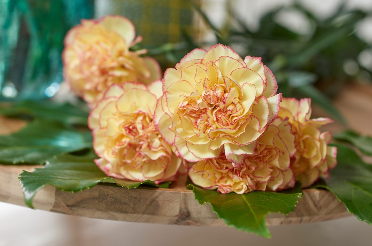HilverdaFloristColombia Dianthus Week