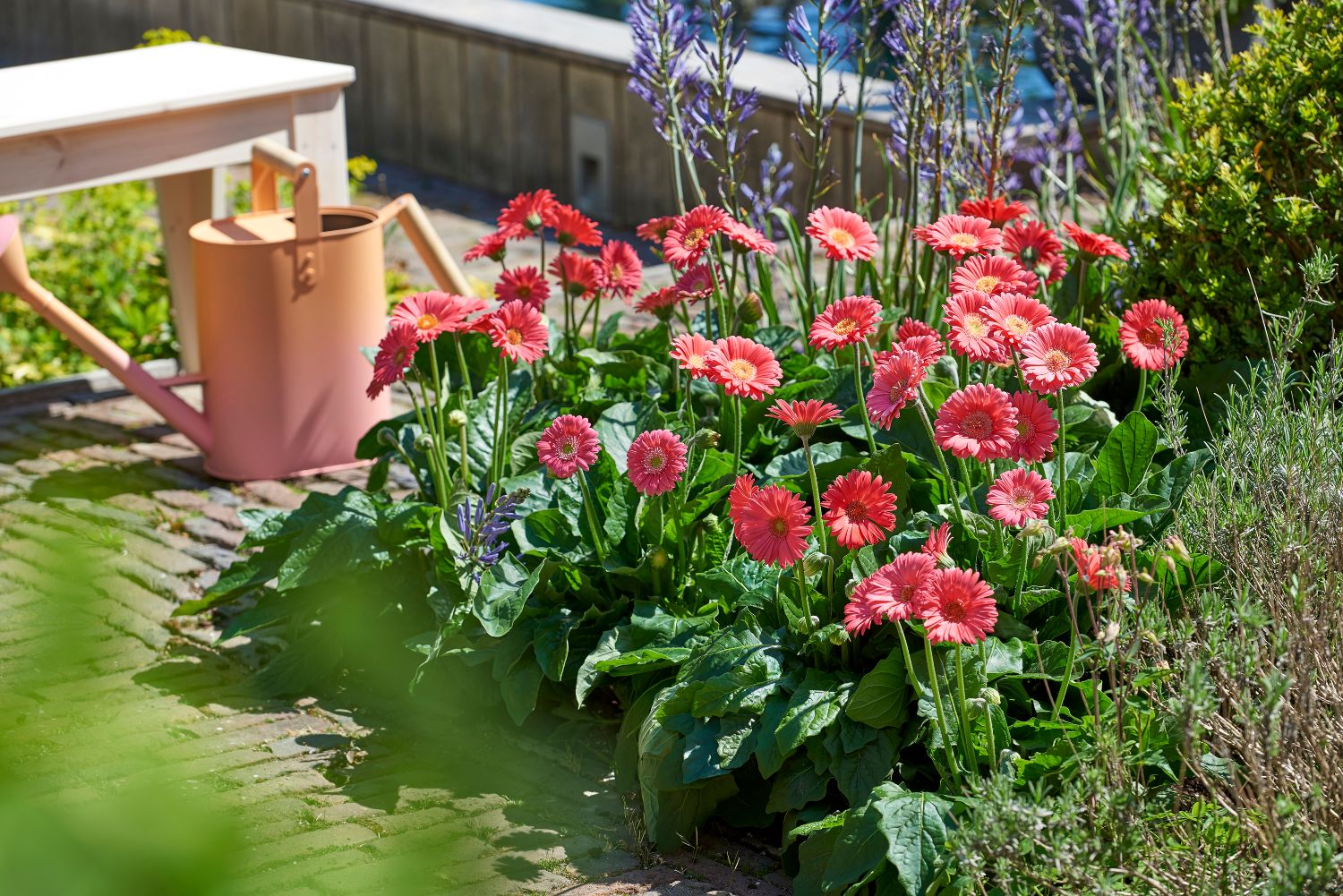 HEADER Garden trends for 2023