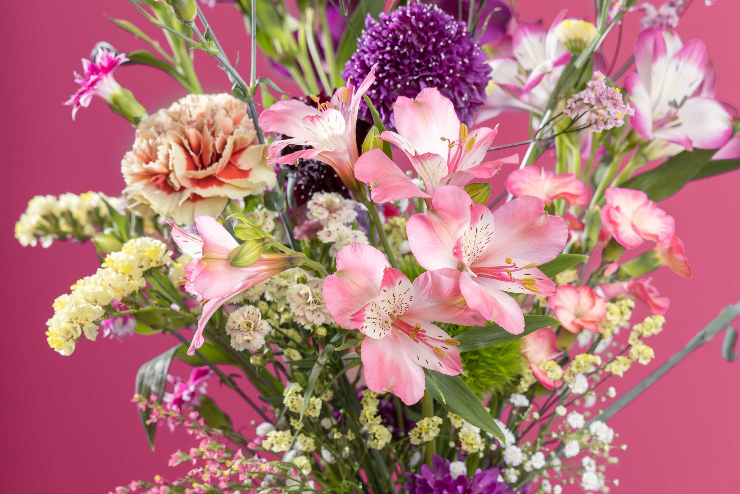 How to keep your cut flowers fresh longer tricks