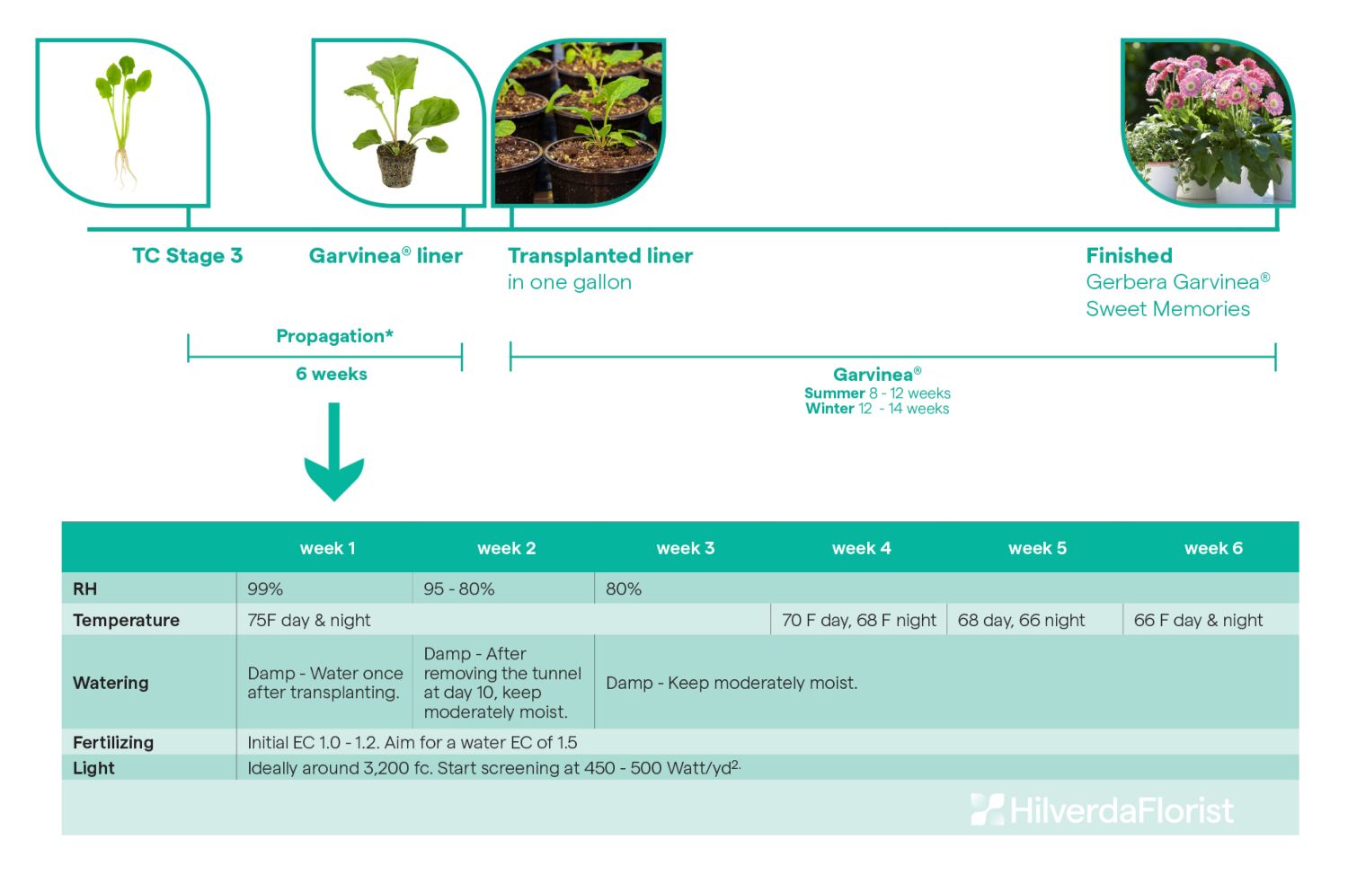 Overview stage 3 Garvinea TC (1)