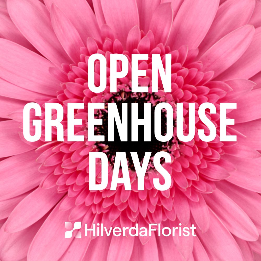 Open house Hilverdaflorist