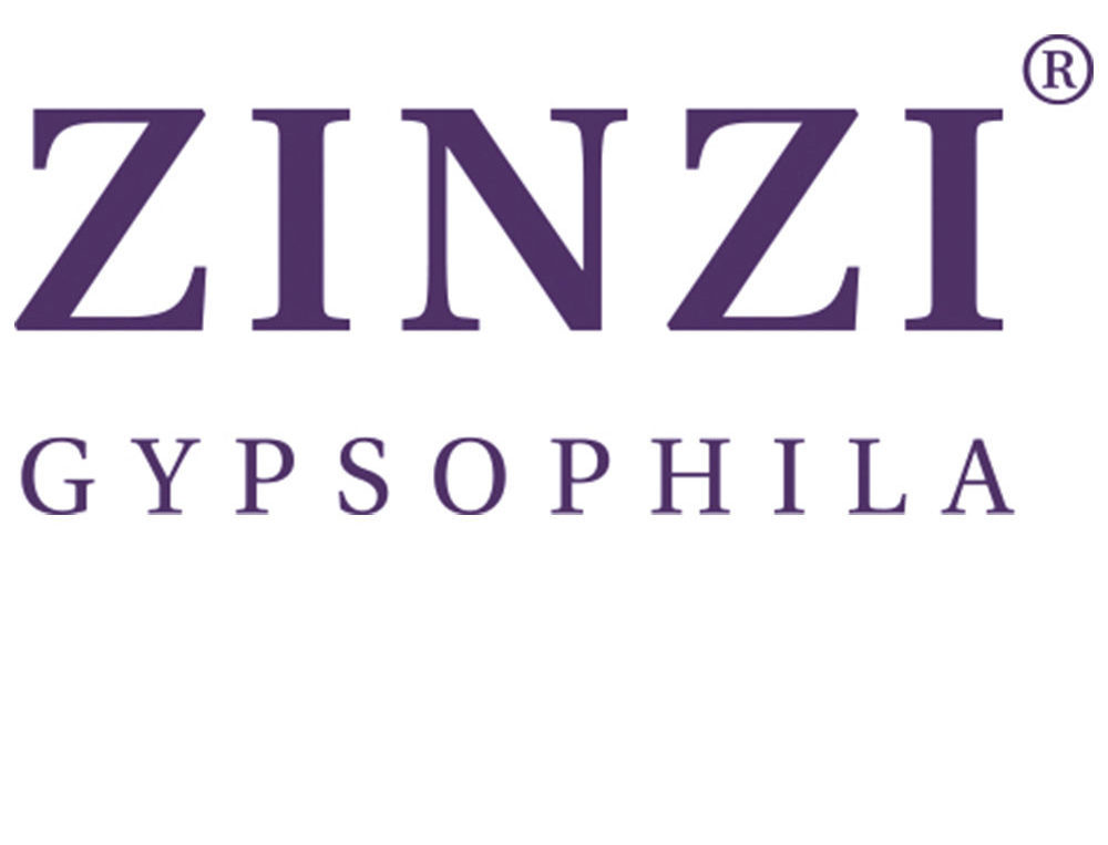Logo Zinzi
