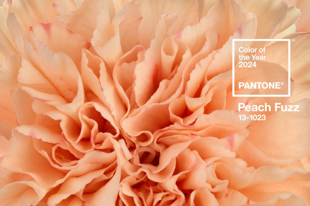 pantone color of the year: peach fuzz flowers